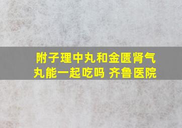 附子理中丸和金匮肾气丸能一起吃吗 齐鲁医院